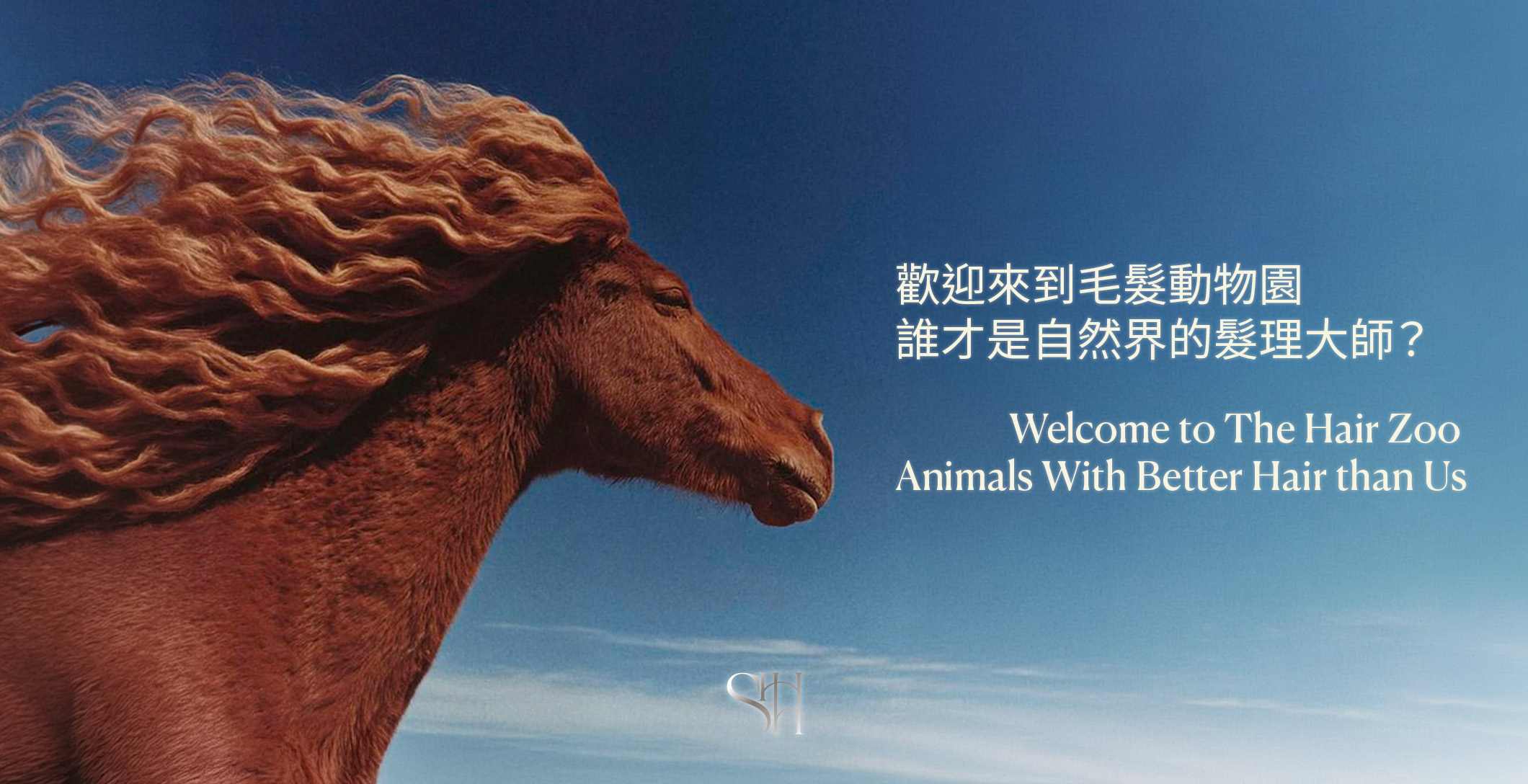 歡迎來到毛髮動物園!誰才是自然界的髮理大師? Welcome to The Hair Zoo: Who Are Nature’s True Hair Masters?