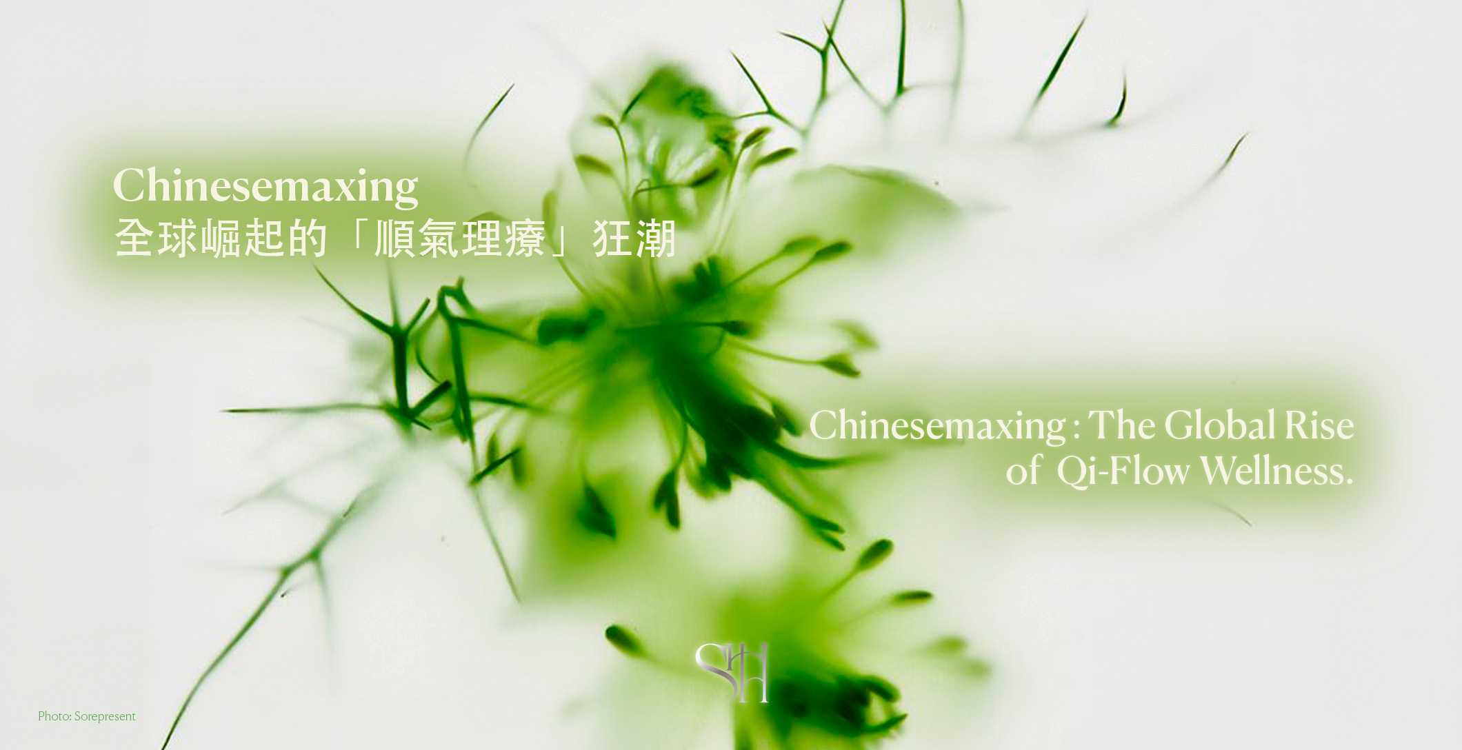 Chinesemaxing,全球崛起的「順氣理療」狂潮 Chinesemaxing: The Global Rise of Qi-Flow Wellness
