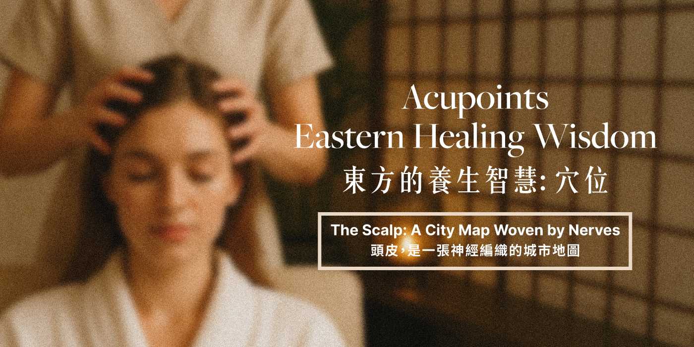 東方的養生智慧:穴位 Eastern Healing Wisdom — Acupoints The Scalp: A City Map Woven by Nerves